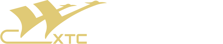领晶光电